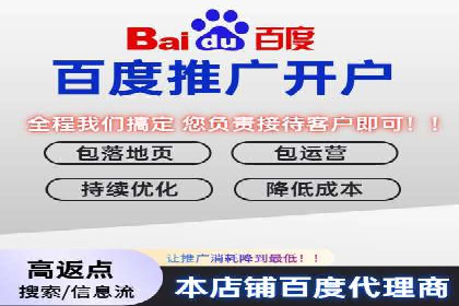 百度搜索推广案例集锦：实战技巧与策略解析